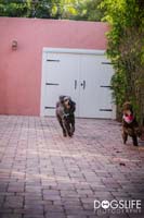 img_174